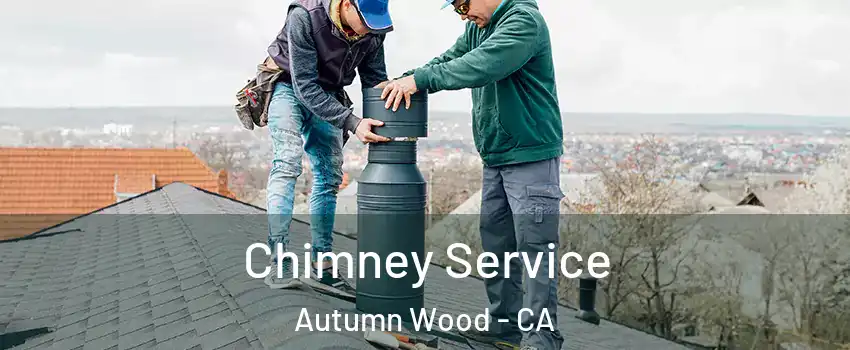 Chimney Service Autumn Wood - CA
