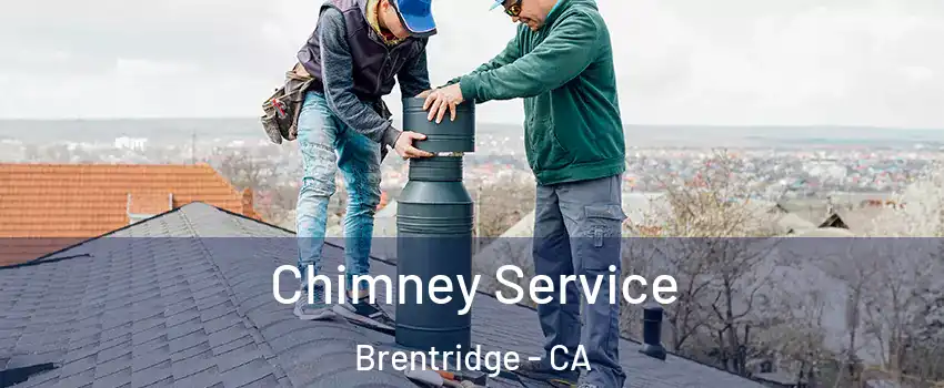 Chimney Service Brentridge - CA
