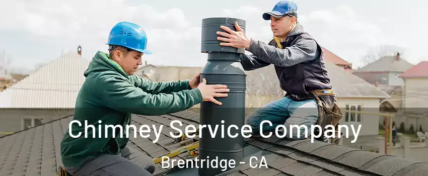 Chimney Service Company Brentridge - CA