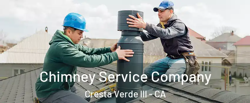 Chimney Service Company Cresta Verde III - CA