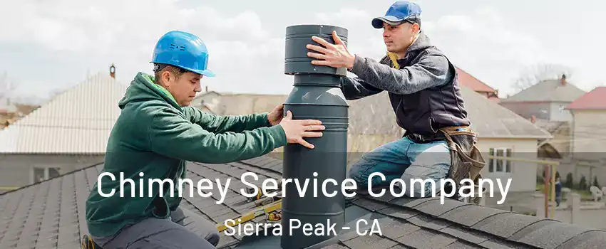 Chimney Service Company Sierra Peak - CA