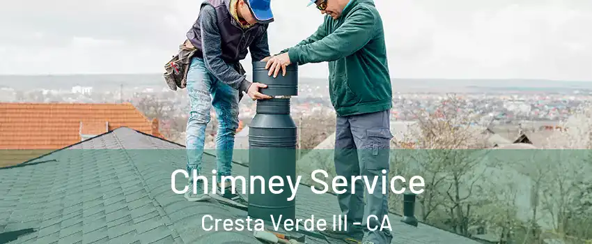 Chimney Service Cresta Verde III - CA
