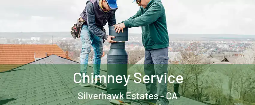 Chimney Service Silverhawk Estates - CA