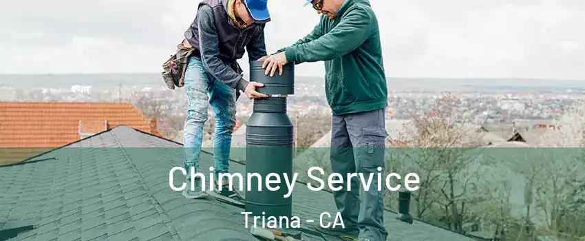 Chimney Service Triana - CA