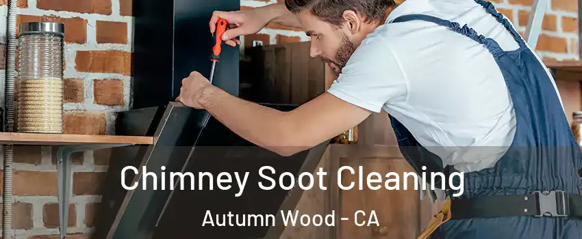 Chimney Soot Cleaning Autumn Wood - CA