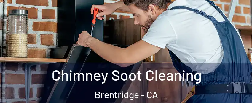 Chimney Soot Cleaning Brentridge - CA