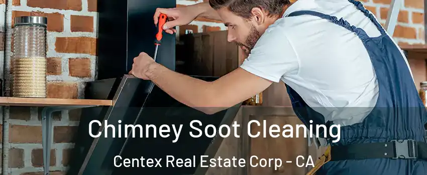 Chimney Soot Cleaning Centex Real Estate Corp - CA