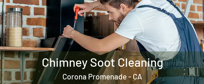 Chimney Soot Cleaning Corona Promenade - CA