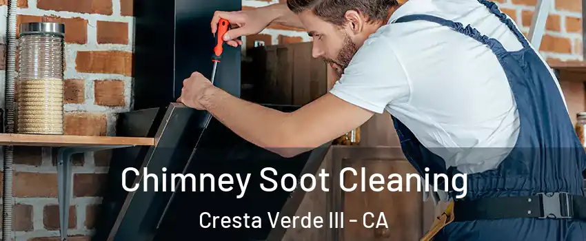Chimney Soot Cleaning Cresta Verde III - CA