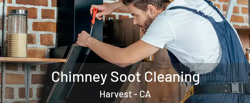 Chimney Soot Cleaning Harvest - CA