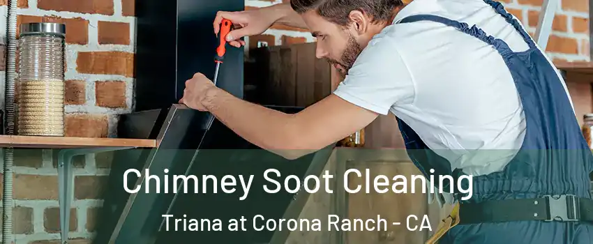 Chimney Soot Cleaning Triana at Corona Ranch - CA