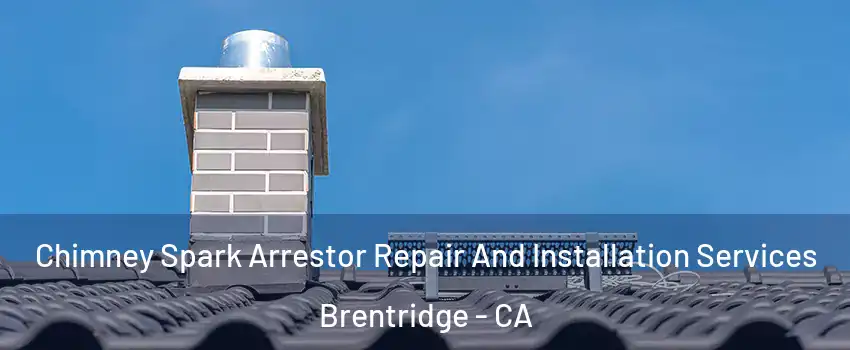 Chimney Spark Arrestor Repair And Installation Services Brentridge - CA