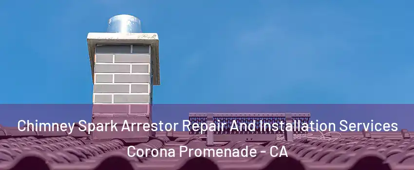 Chimney Spark Arrestor Repair And Installation Services Corona Promenade - CA