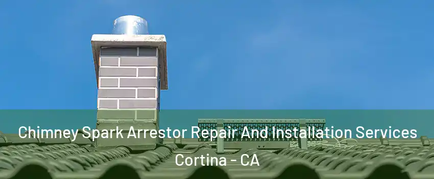 Chimney Spark Arrestor Repair And Installation Services Cortina - CA