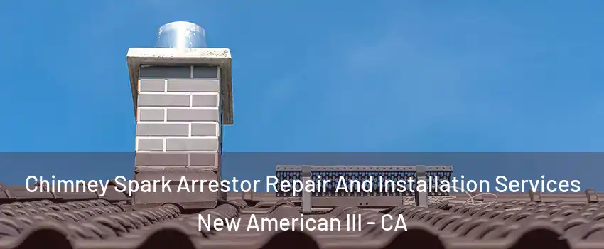 Chimney Spark Arrestor Repair And Installation Services New American III - CA