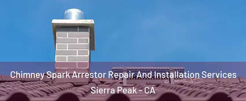 Chimney Spark Arrestor Repair And Installation Services Sierra Peak - CA