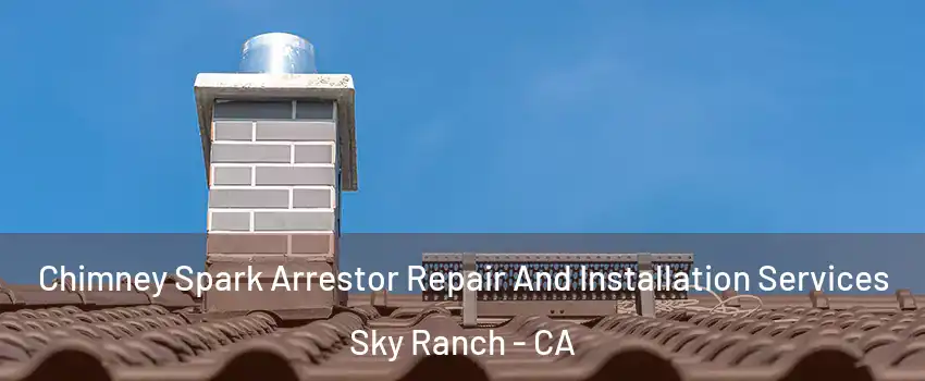 Chimney Spark Arrestor Repair And Installation Services Sky Ranch - CA