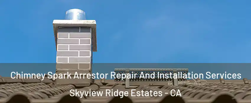 Chimney Spark Arrestor Repair And Installation Services Skyview Ridge Estates - CA
