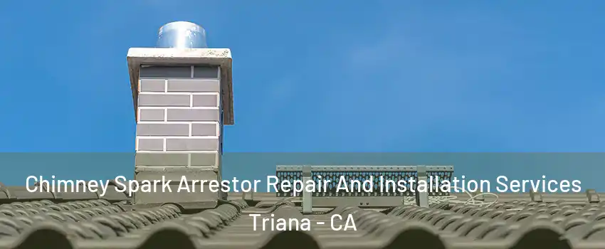 Chimney Spark Arrestor Repair And Installation Services Triana - CA