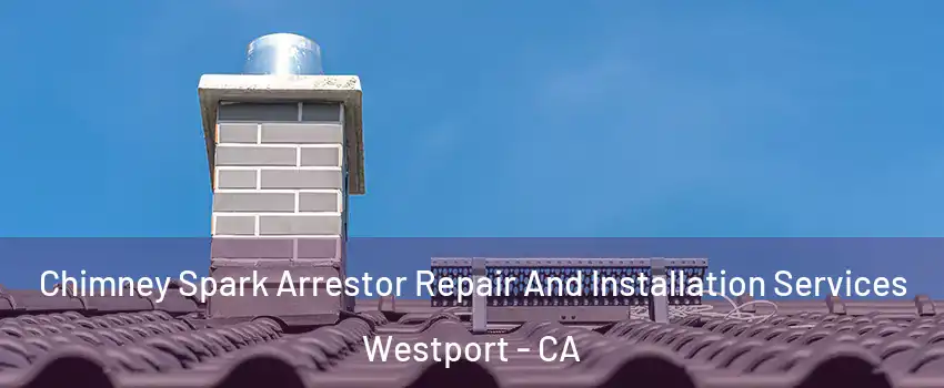 Chimney Spark Arrestor Repair And Installation Services Westport - CA