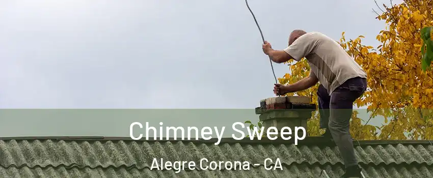 Chimney Sweep Alegre Corona - CA