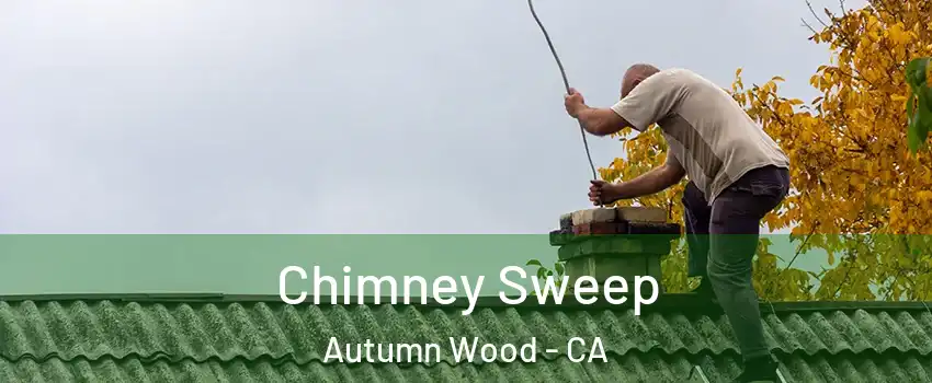 Chimney Sweep Autumn Wood - CA