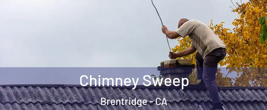 Chimney Sweep Brentridge - CA