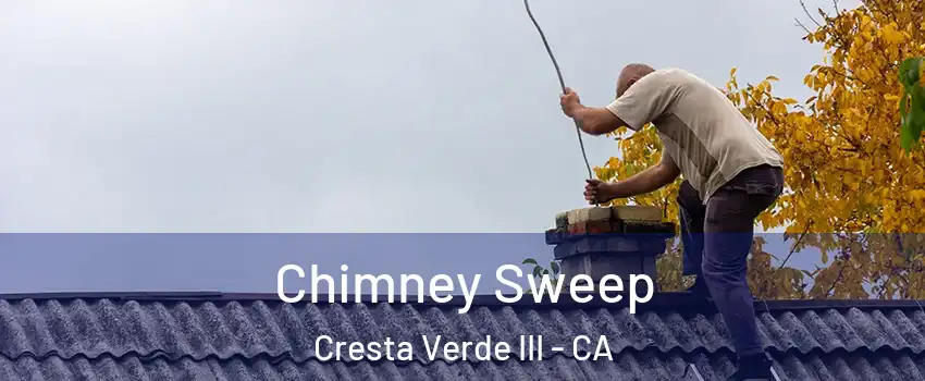 Chimney Sweep Cresta Verde III - CA