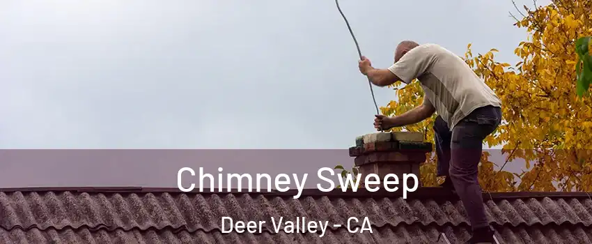 Chimney Sweep Deer Valley - CA