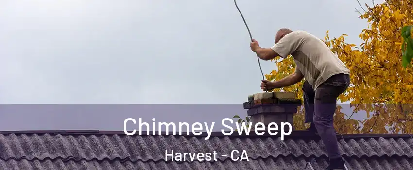 Chimney Sweep Harvest - CA