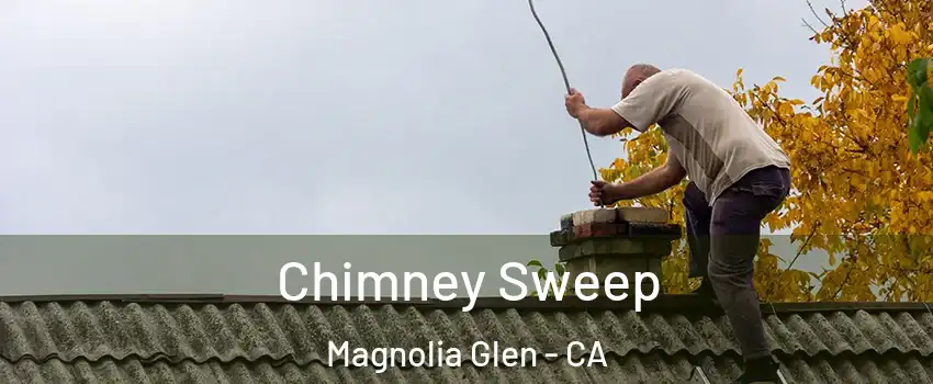 Chimney Sweep Magnolia Glen - CA