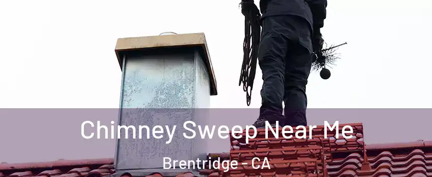 Chimney Sweep Near Me Brentridge - CA