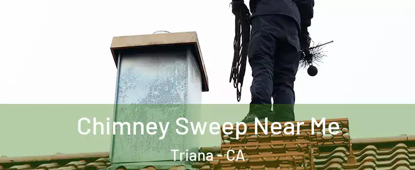 Chimney Sweep Near Me Triana - CA