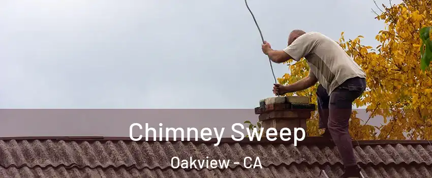 Chimney Sweep Oakview - CA