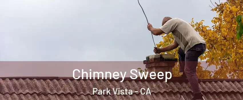 Chimney Sweep Park Vista - CA
