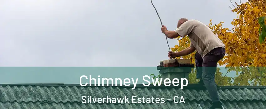 Chimney Sweep Silverhawk Estates - CA