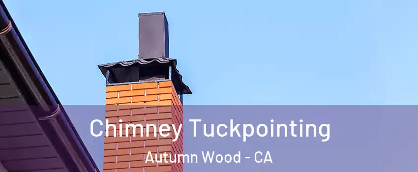 Chimney Tuckpointing Autumn Wood - CA