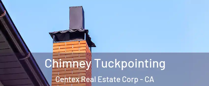 Chimney Tuckpointing Centex Real Estate Corp - CA