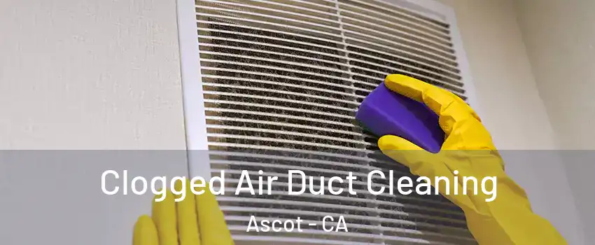 Clogged Air Duct Cleaning Ascot - CA
