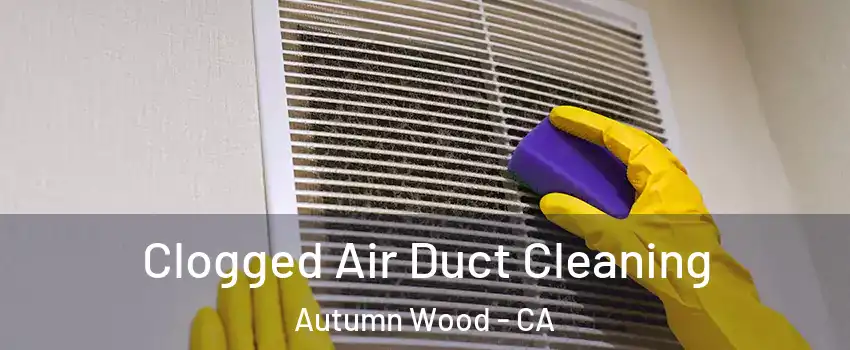 Clogged Air Duct Cleaning Autumn Wood - CA