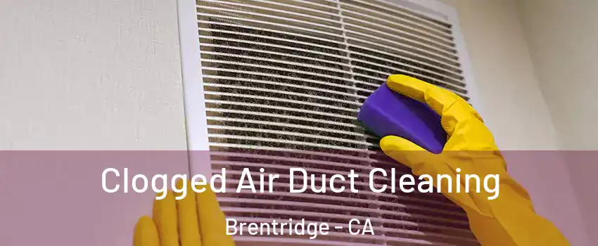 Clogged Air Duct Cleaning Brentridge - CA