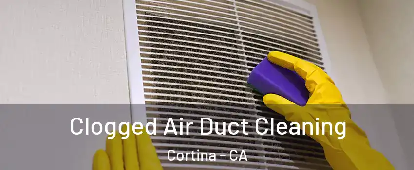 Clogged Air Duct Cleaning Cortina - CA
