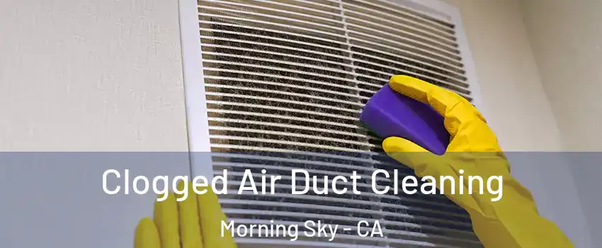 Clogged Air Duct Cleaning Morning Sky - CA