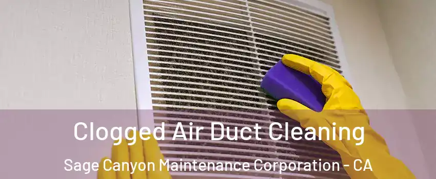 Clogged Air Duct Cleaning Sage Canyon Maintenance Corporation - CA