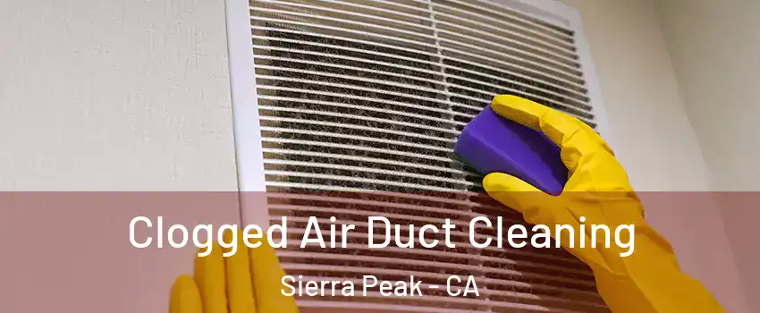 Clogged Air Duct Cleaning Sierra Peak - CA