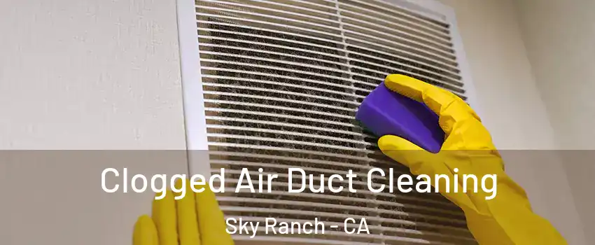 Clogged Air Duct Cleaning Sky Ranch - CA