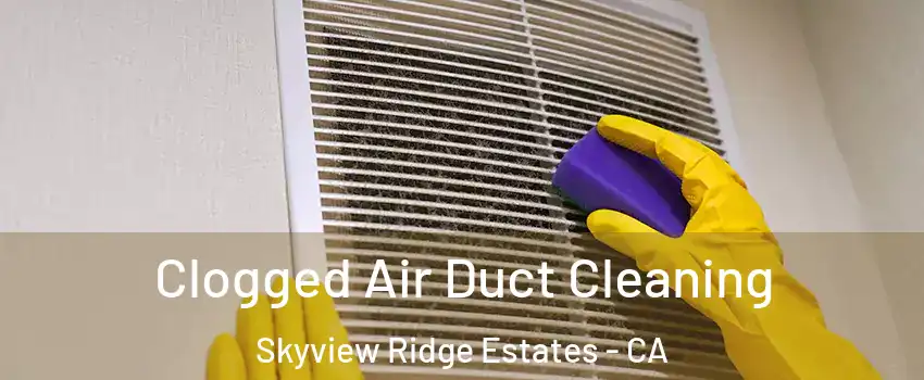 Clogged Air Duct Cleaning Skyview Ridge Estates - CA