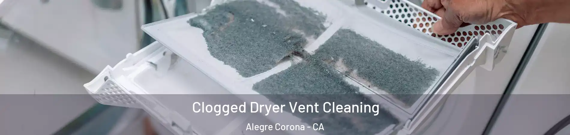 Clogged Dryer Vent Cleaning Alegre Corona - CA