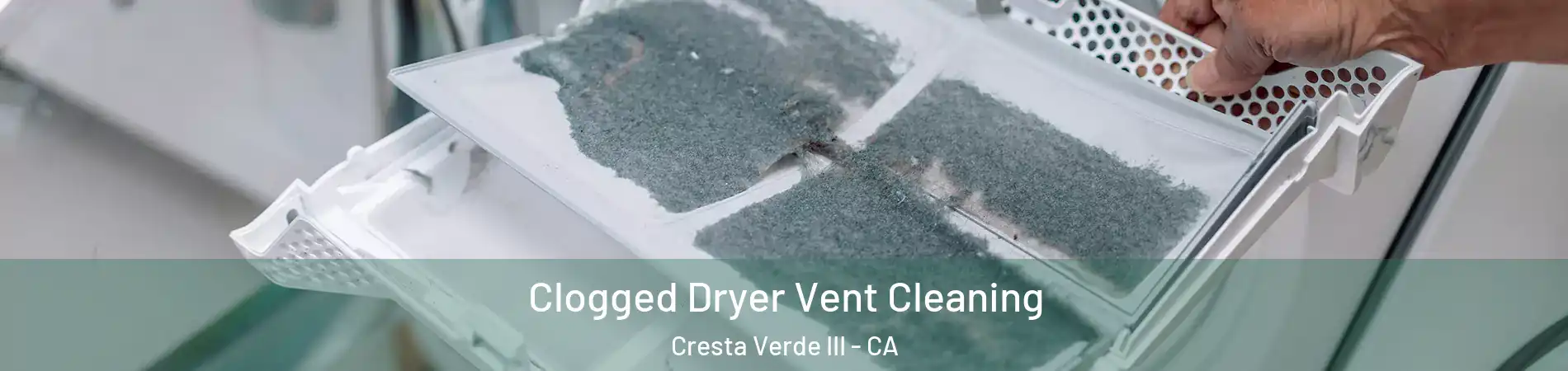 Clogged Dryer Vent Cleaning Cresta Verde III - CA