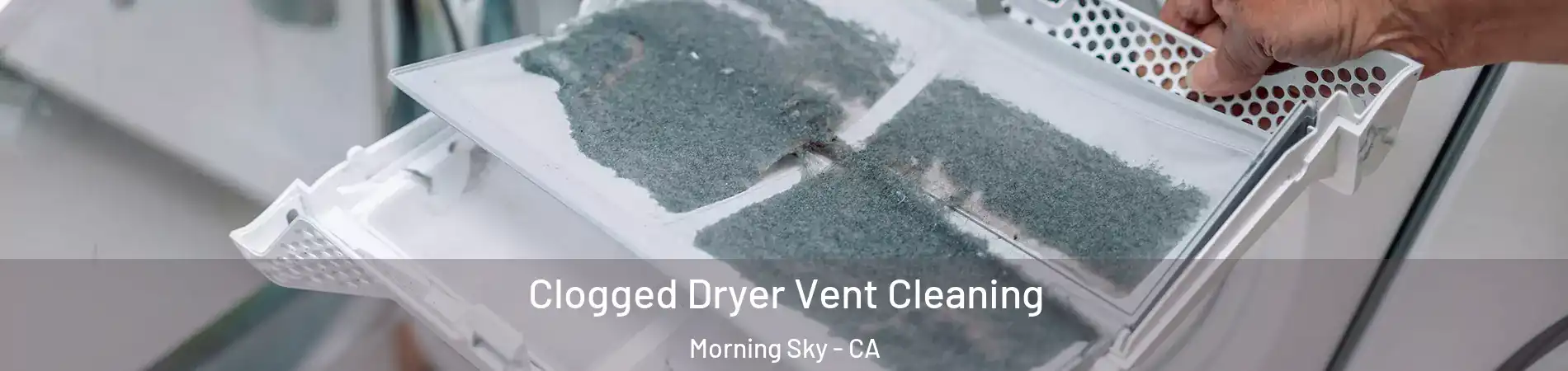Clogged Dryer Vent Cleaning Morning Sky - CA